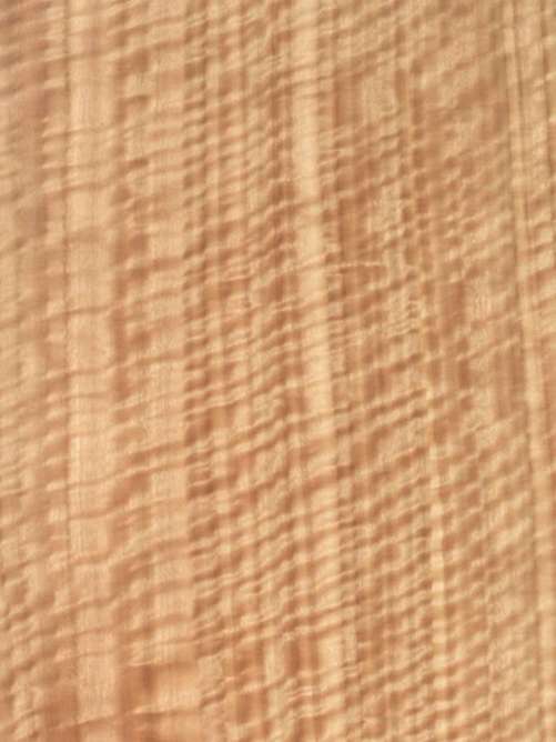 Eucalyptus Qtd Fig APPI, LLC